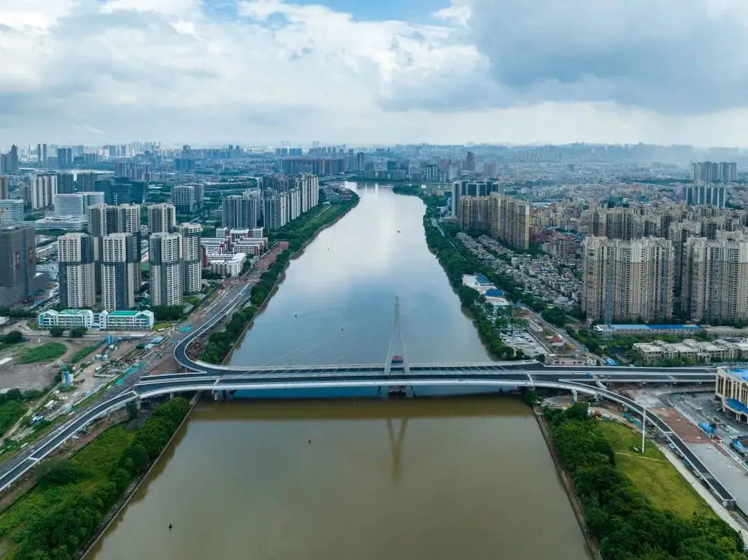 金沙洲新广佛大桥桥底