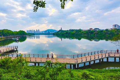 增江画廊/初溪大坝