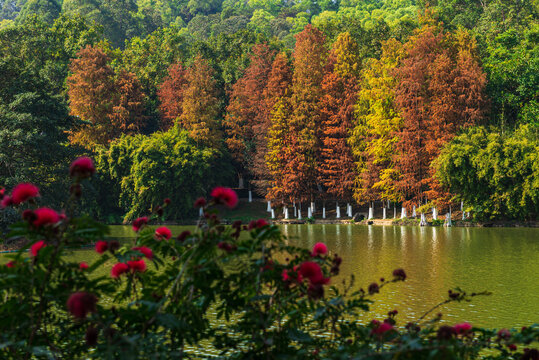 番禺大夫山森林公园